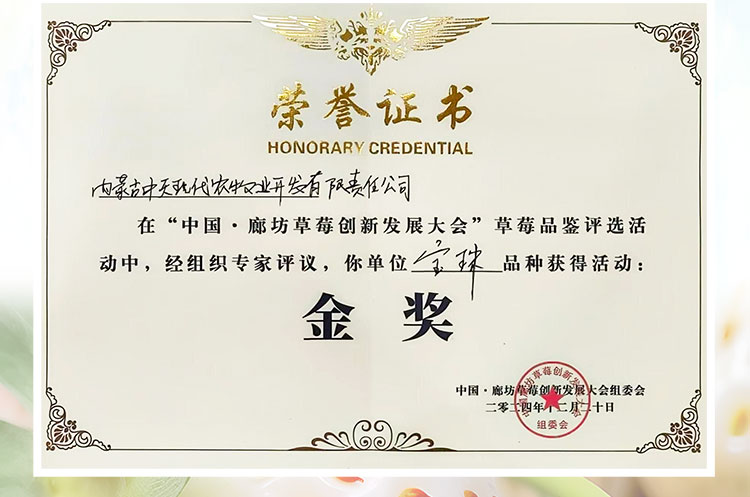 草莓1920網50像素2025年3月12日網頁_03.jpg